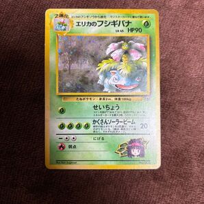 エリカのフシギバナ 旧裏