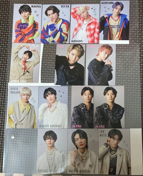 EBiDAN JUNON プロフカード