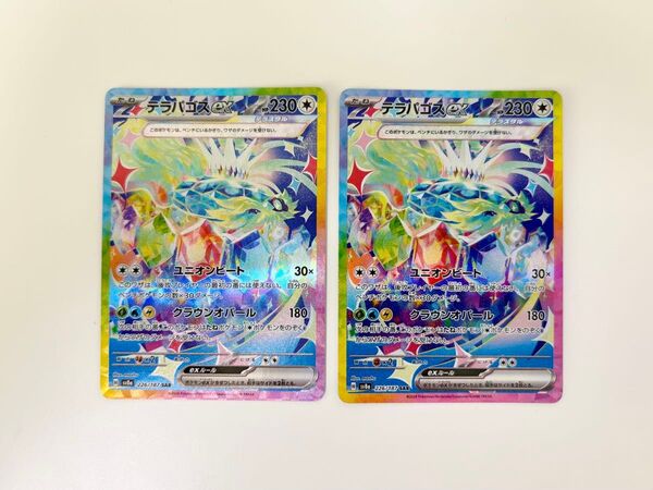 【ポケモンカード】テラパゴスex SAR (テラスタルフェス)