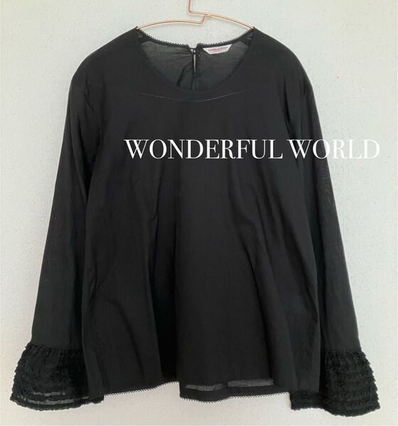 WONDERFUL WORLD【綿ローン】ブラウス 長袖 トップス シャツ ブラック 黒 ワンダフルワールド カネコイサオ 金子功