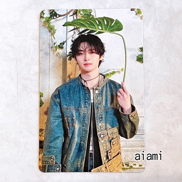 StrayKids Hollow 初回限定版A 封入トレカ リノ