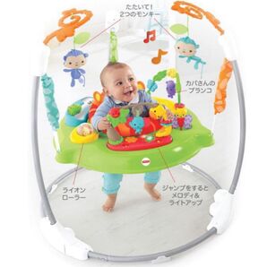 フィッシャープライス レインフォレスト ジャンパルー2 ベビートイDTD91