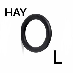 新品未使用 HAY GYM HOOK ヘイ ジム フック Lサイズ ブラック タオルハンガー