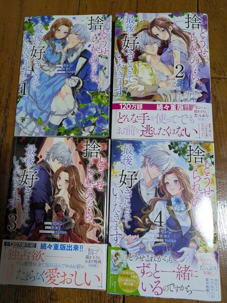 どうせ捨てられるのなら最後に好きにさせていただきます