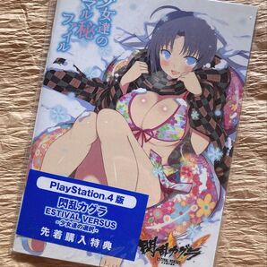 閃乱カグラ/少女達の選択【先着購入特典】少女達のマル秘ファイル【冊子セット】【送料無料】価格交渉はスルーさせていただきます