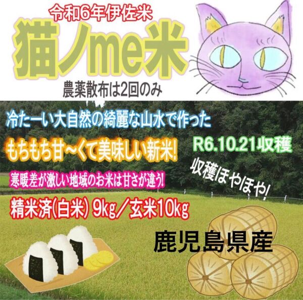 【3セット限定再販令和6年産】 お米10kg 5kg×2袋 白米 玄米 ヒノヒカリ 伊佐市産 鹿児島県産 令和6年産 選べる精米