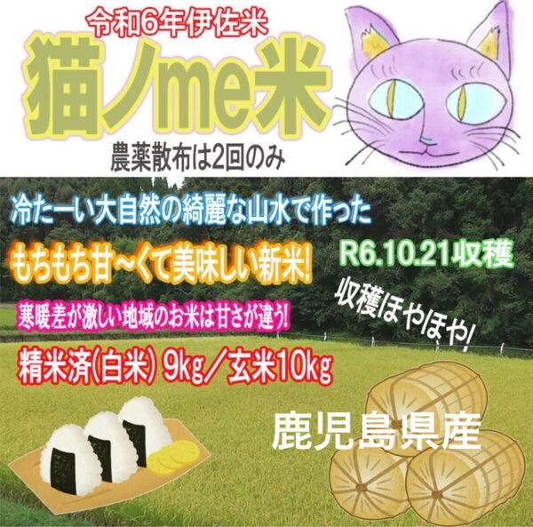 【限定3セット令和6年産】 お米10kg 5kg×2袋 白米 玄米 ヒノヒカリ 伊佐市産 鹿児島県産 令和6年産 選べる精米