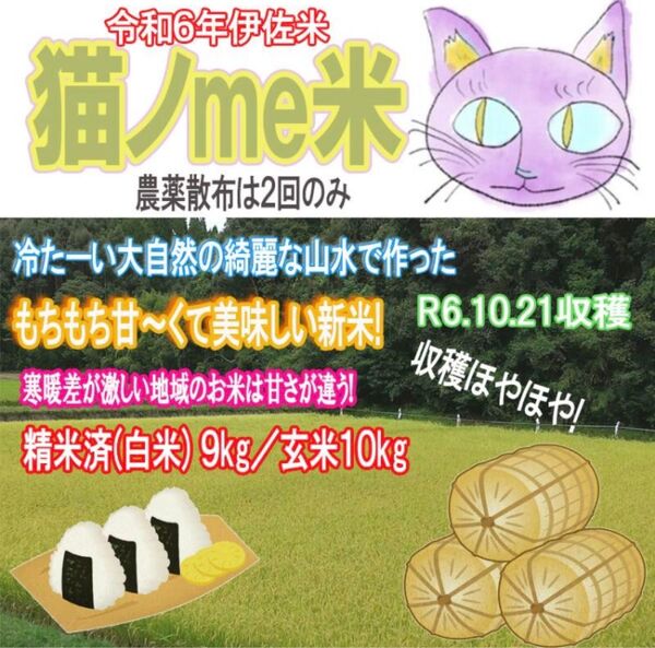 【最後1セット令和6年産】 お米10kg 5kg×2袋 白米 玄米 ヒノヒカリ 伊佐市産 鹿児島県産 令和6年産 選べる精米