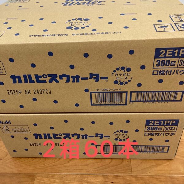 カルピス パウチ 2箱 計60本