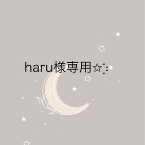 専用☆マルディメクルディ Tシャツ ショート☆