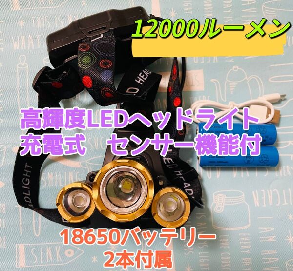 LEDヘッドライト USB充電式 12000ルーメン 高輝度3灯 バッテリー付