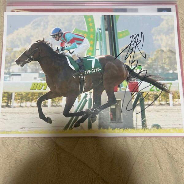 マルターズアポジー 小倉大賞典武士沢智治元騎手直筆サイン入り