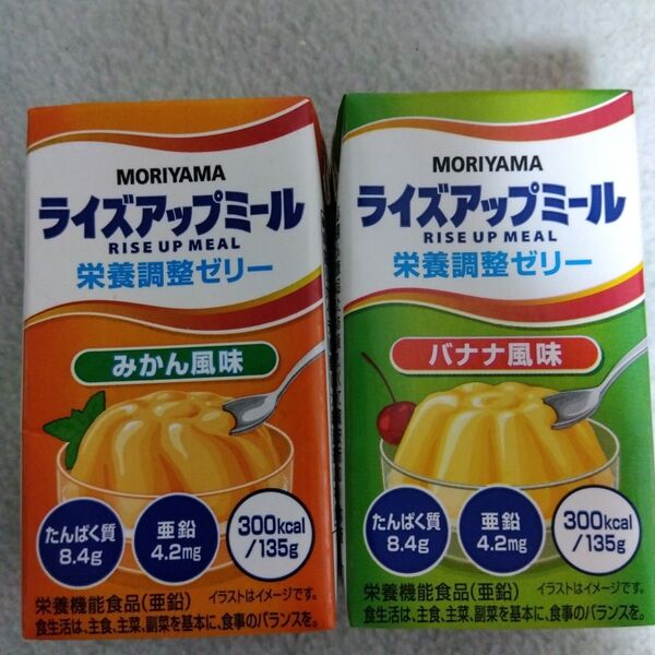 ライズアップミール 栄養補助食品 栄養調整ゼリー 守山乳業 高カロリー