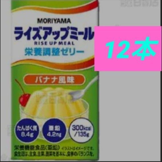 ライズアップミール 栄養補助食品 栄養調整ゼリー 守山乳業 高カロリー