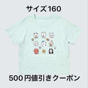 【新品未使用】ユニクロ ちいかわ ナガノのくま UT シャツ サイズ160 薄グリーン
