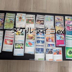 ポケカ 構築済みデッキ タケルライコex