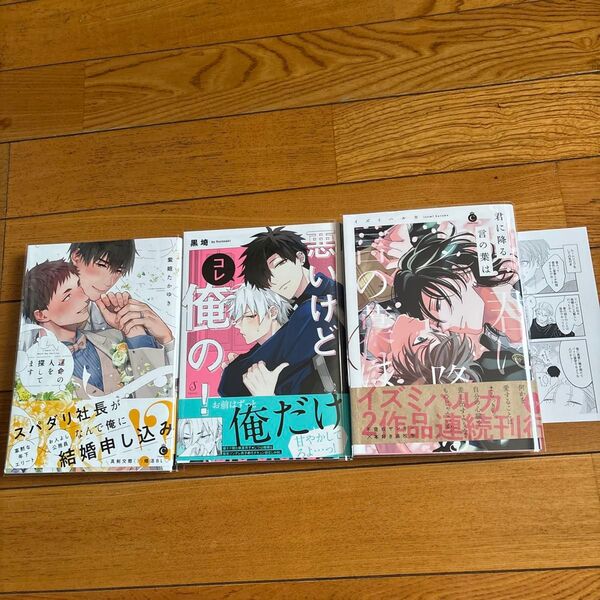 君に降る言の葉は/悪いけどコレ俺の!/運命の人を探してます/3冊セット