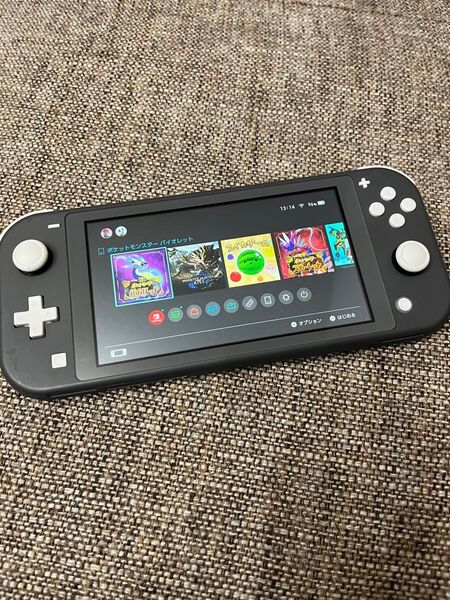 Nintendo switch light キャリングケース付き