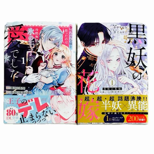 身代わり令嬢を救ったのは冷酷無慈悲な氷の王子の愛でした 1、黒妖の花嫁 1