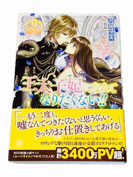 王太子妃になんてなりたくない 2