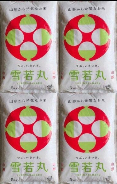 令和6年産 雪若丸 5kg×4袋 20kg お米 精米 白米