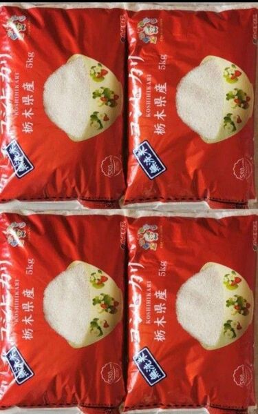 令和6年産 栃木県産 無洗米 コシヒカリ 5kg×4袋 20kg お米 白米 ご飯