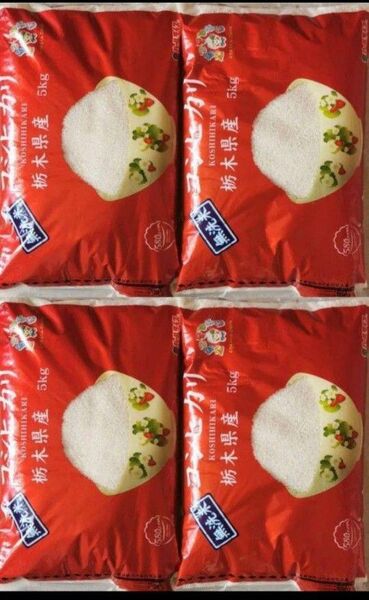 令和6年産 栃木県産 無洗米 コシヒカリ 5kg×4袋 20kg お米 白米 ご飯