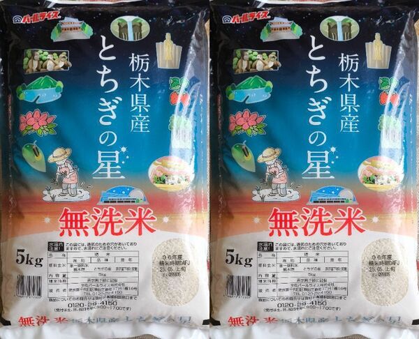 パールライス 栃木県産 とちぎの星 無洗米 5kg×2袋 10kg 白米 ご飯