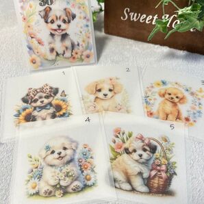 savings challeng スクエア いぬ Nj_saving