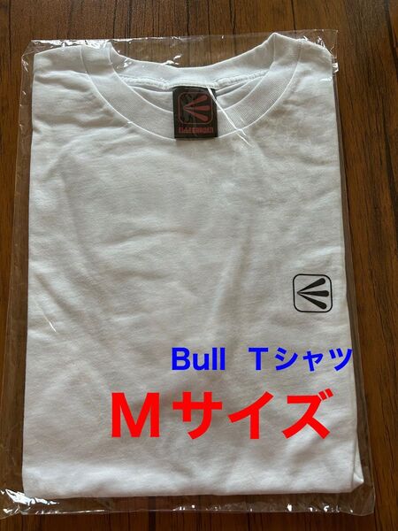 ELLEGARDEN Bull Tシャツ エルレガーデン MONOEYES モノアイズ the HIATUS ハイエイタス