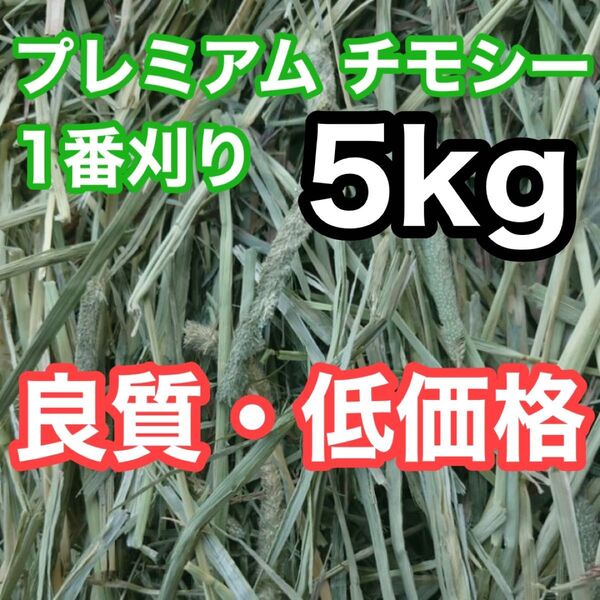アメリカ産 プレミアム チモシー 1番刈り 5kg うさぎ 小動物 牧草