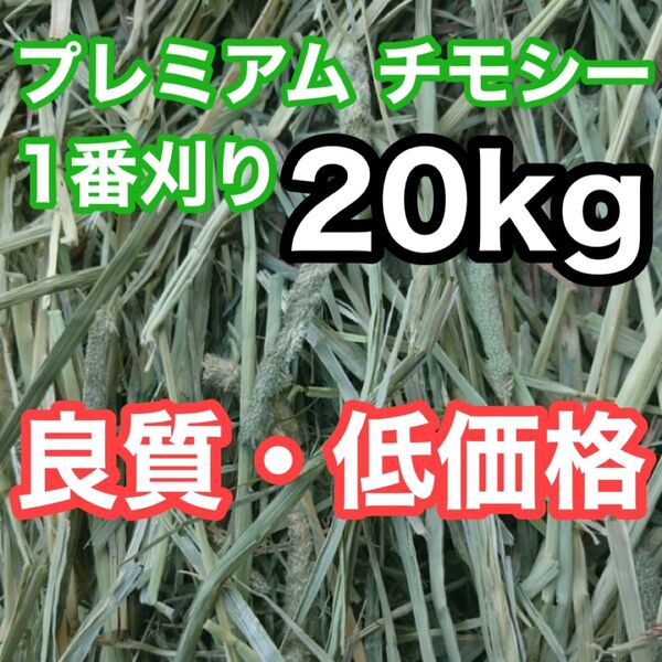 アメリカ産 プレミアム チモシー 1番刈り 20kg うさぎ 小動物 牧草
