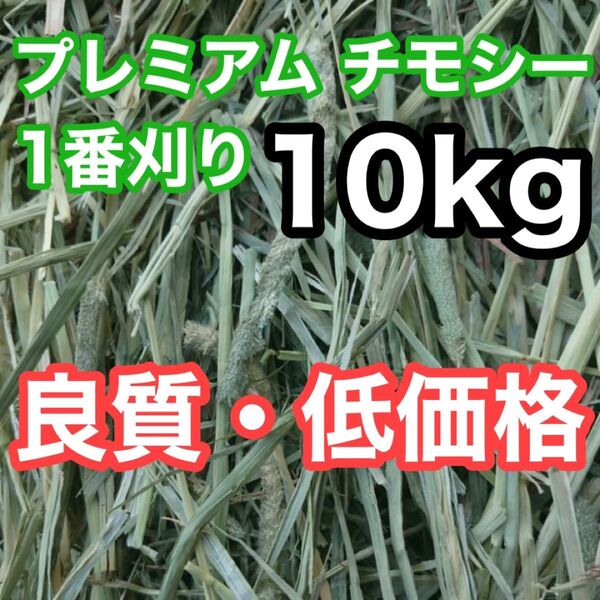 アメリカ産 プレミアム チモシー 1番刈り 10kg うさぎ 小動物