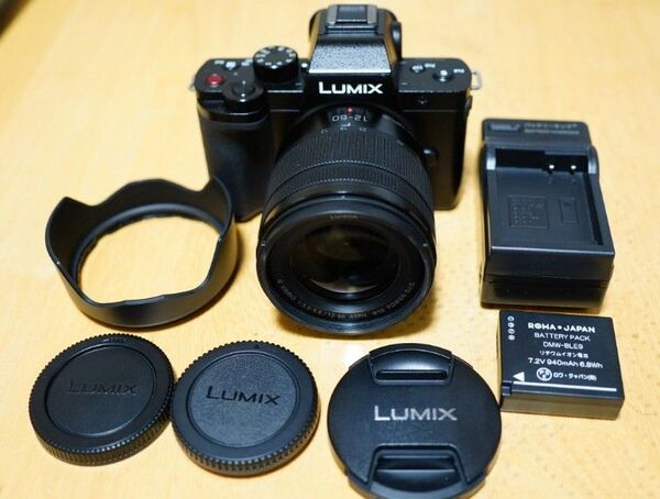 Panasonic LUMIX DC-G100 12-60mm F3.5-5.6 セット