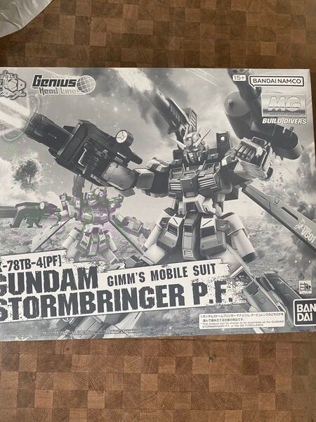 プレバン限定 MG 1/100 ガンダムストームブリンガーP.F. (ファントムファング) ガンダムビルドダイバーズ プラモデル