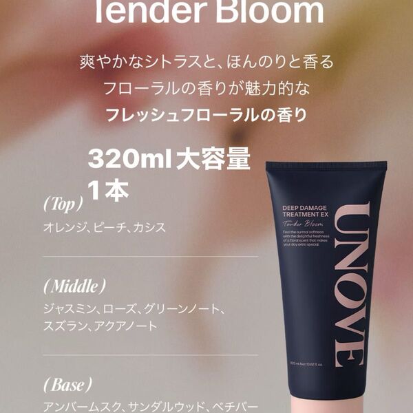 アノブ ディープダメージ トリートメントEX 320ml