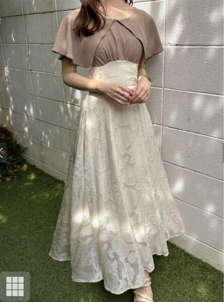 GRL グレイル 花柄シアービッグカラーワンピース pr56