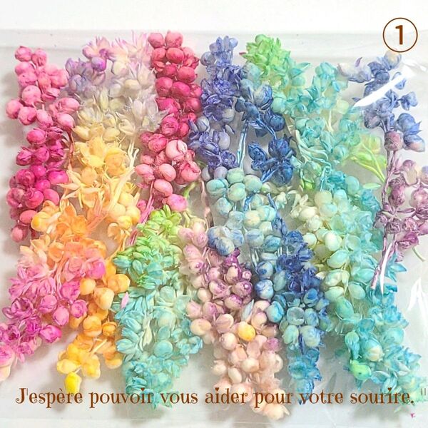 加工花材* SALE ① インディアンコーン プリザーブドフラワー ハーバリウム レジン アレンジメント 花材
