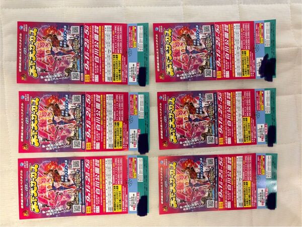 木下大サーカス 名古屋公演(9/1,2,5) 6枚 ※未使用