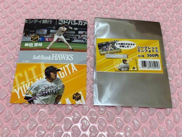 ソフトバンクホークス 柳田悠岐 シークレットミニフォト