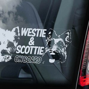 ◆ウエスティ(ウエスト・ハイランド・ホワイト・テリア)&スコッティ@外張り カーステッカー 22x10cm カー ステッカー シール@D2 3019
