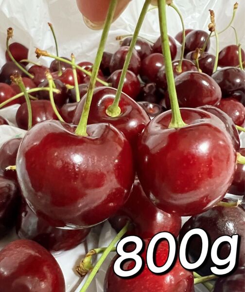 常温便 アメリカンチェリー800g 父の日 中元 家庭用 ポスト投函 車厘子 美國櫻桃 さくらんぼ 国内検品 11.5row