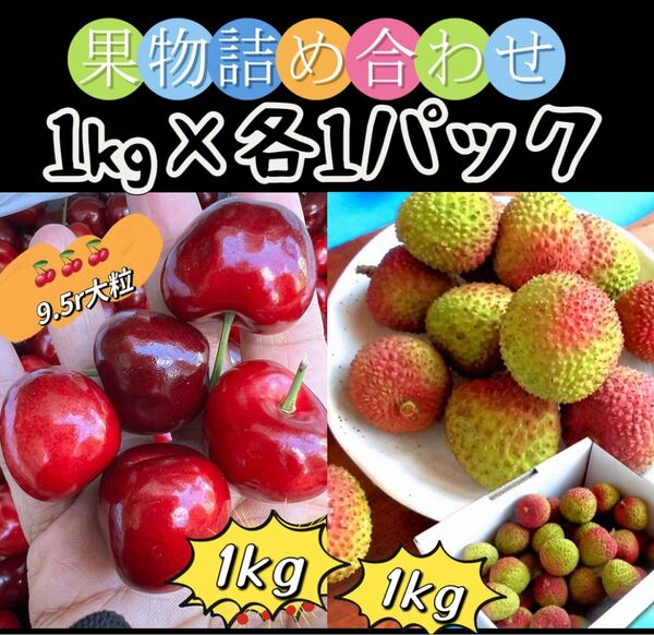新鮮 果物 常温便 9.5row超大粒アメリカンチェリー1kg&妃子笑生ライチ1kg