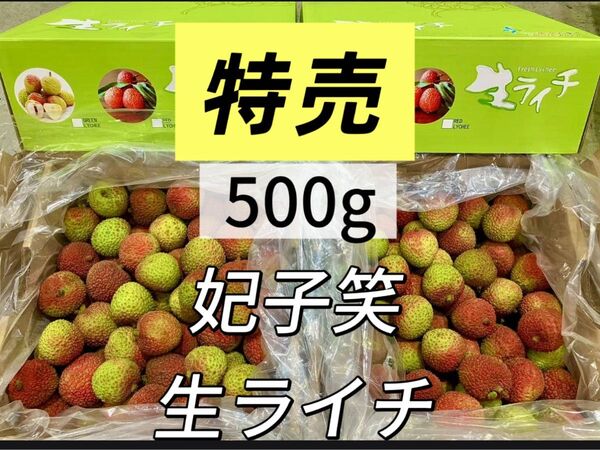 500g 常温便 新鮮 生ライチ 厳選南国フルーツ 香りが強いみずみずしい 茘枝 果物 家庭用 お中元 妃子笑枝