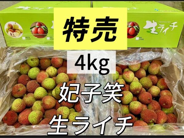 4kg 常温便 新鮮 生ライチ 厳選南国フルーツ 香りが強いみずみずしい 茘枝 果物 家庭用 お中元