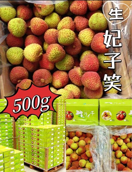 500g 常温便 新鮮 生ライチ 厳選南国フルーツ 香りが強いみずみずしい 茘枝 果物 家庭用 お中元 妃子笑枝