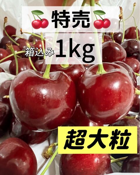 9.5r超大粒アメリカンチェリー箱込み1kg 父の日 中元 家庭用 ポスト投函 車厘子 美國櫻桃 さくらんぼ 国内検品発送