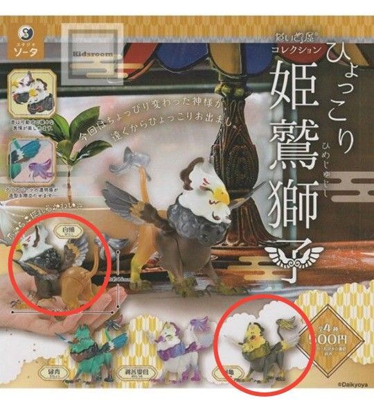 だいきょ屋 ひょっこり姫鷲獅子 白頭 阿亀