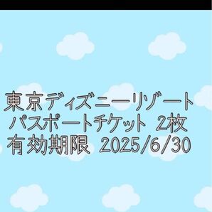 ディズニーランド パスポート