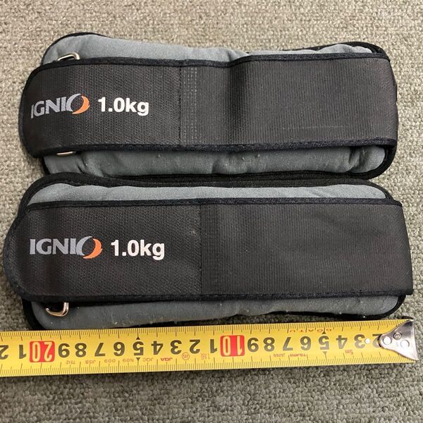 IGNIO ウェイト 1.0kg 2個セット